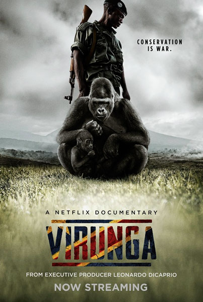 Постер к фильму Вирунга