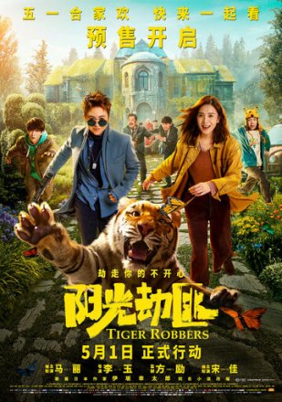Постер к фильму Похитители тигра
