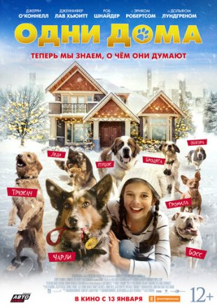 Постер к фильму Одни дома